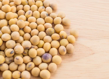 Soy beans