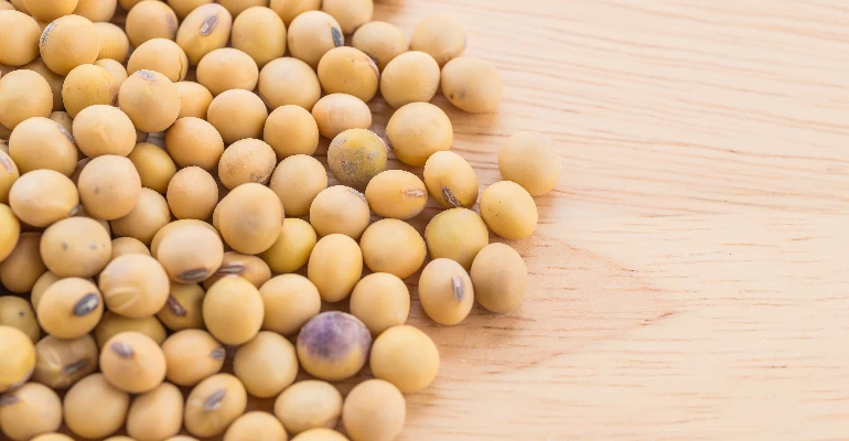 Soy beans
